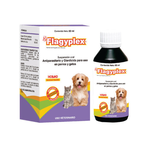 FLAGYPLEX SUSP. 60 ML