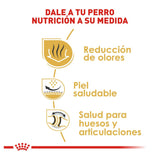 Bulldog Adulto 13.63 Kg. Profesional