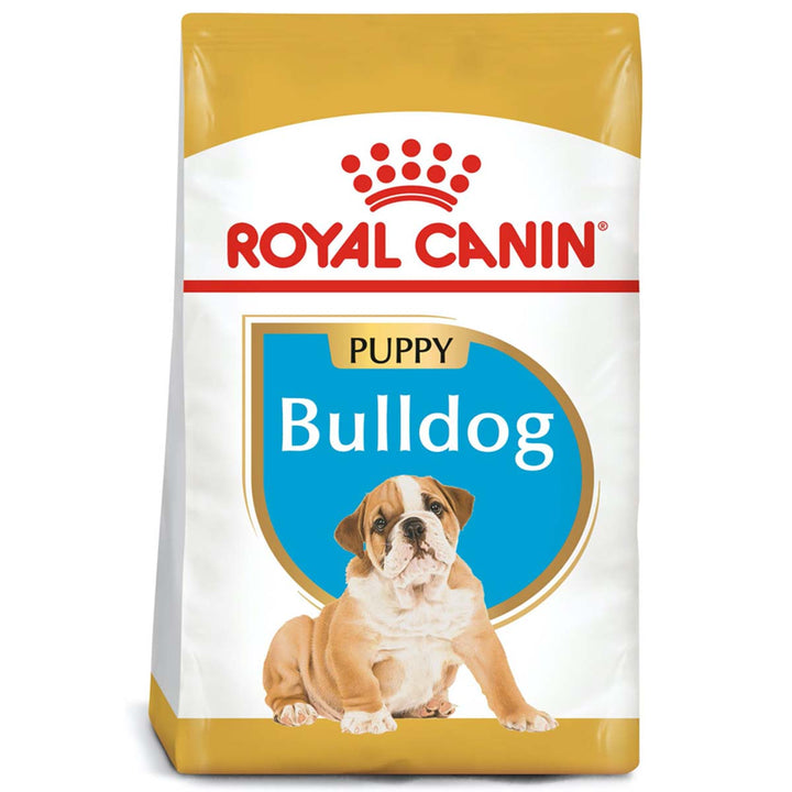 BULLDOG PUPPY Profesional