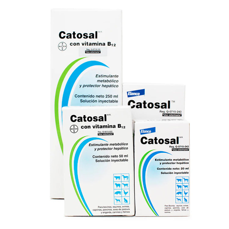 CATOSAL