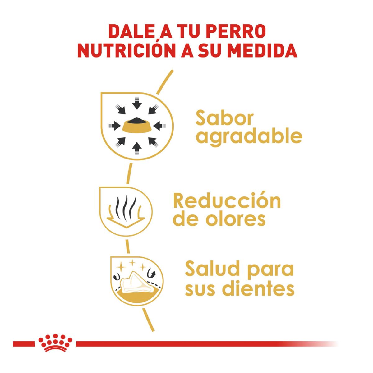 CHIHUAHUA Royal Canin Profesional