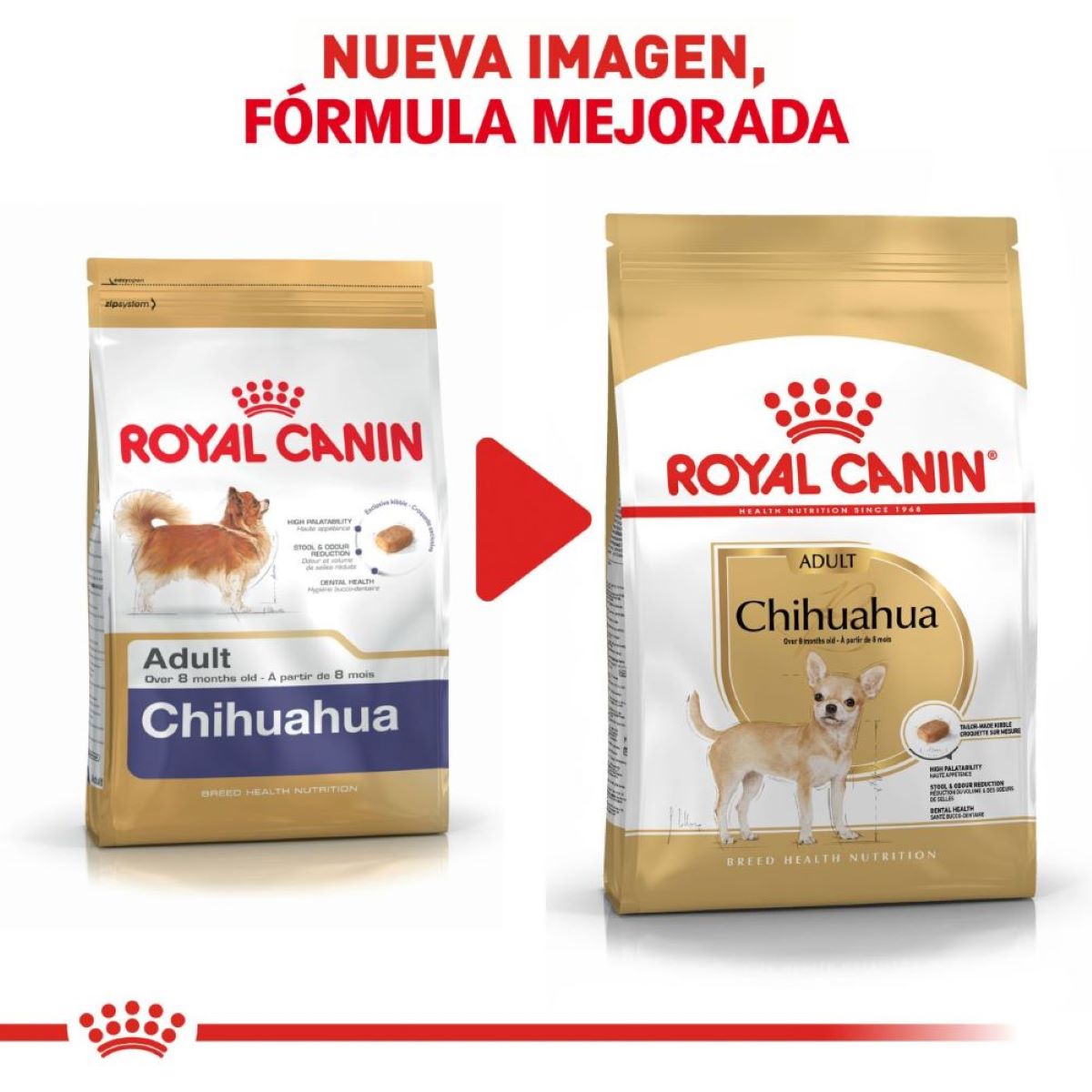 CHIHUAHUA Royal Canin Profesional