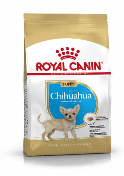 Chihuahua Puppy 1.3 Kg. Profesional