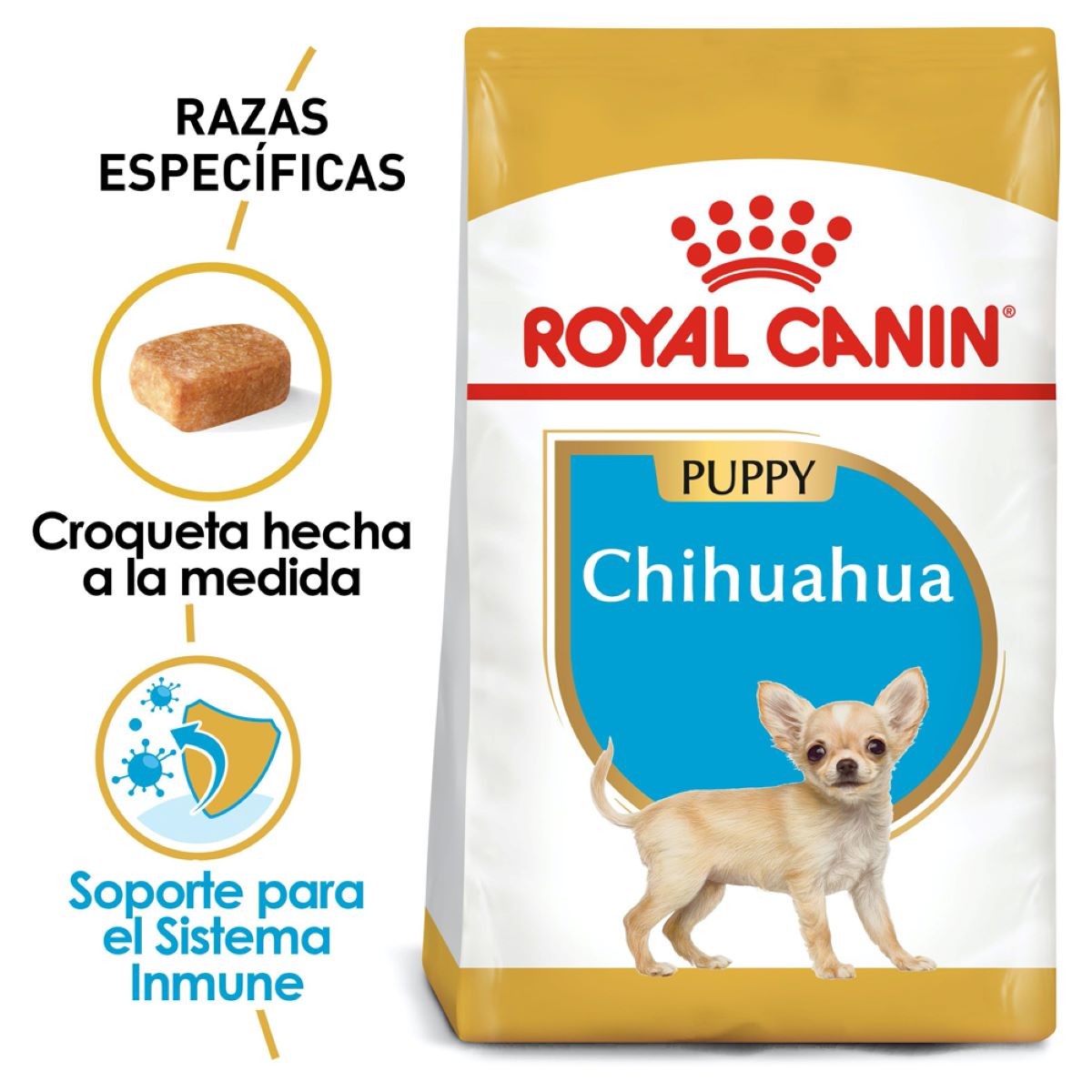Chihuahua Puppy 1.3 Kg.