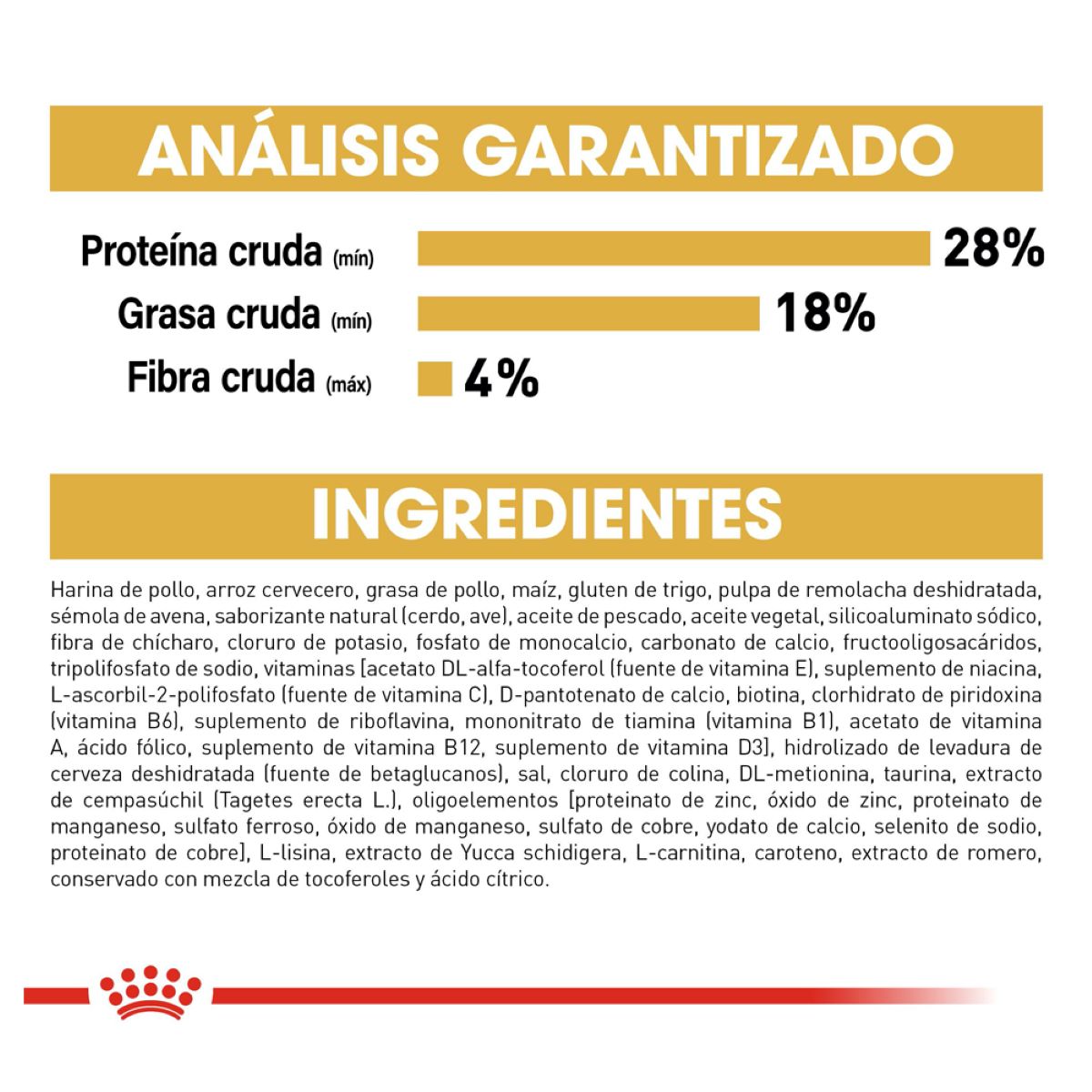 Chihuahua Puppy 1.3 Kg. Profesional