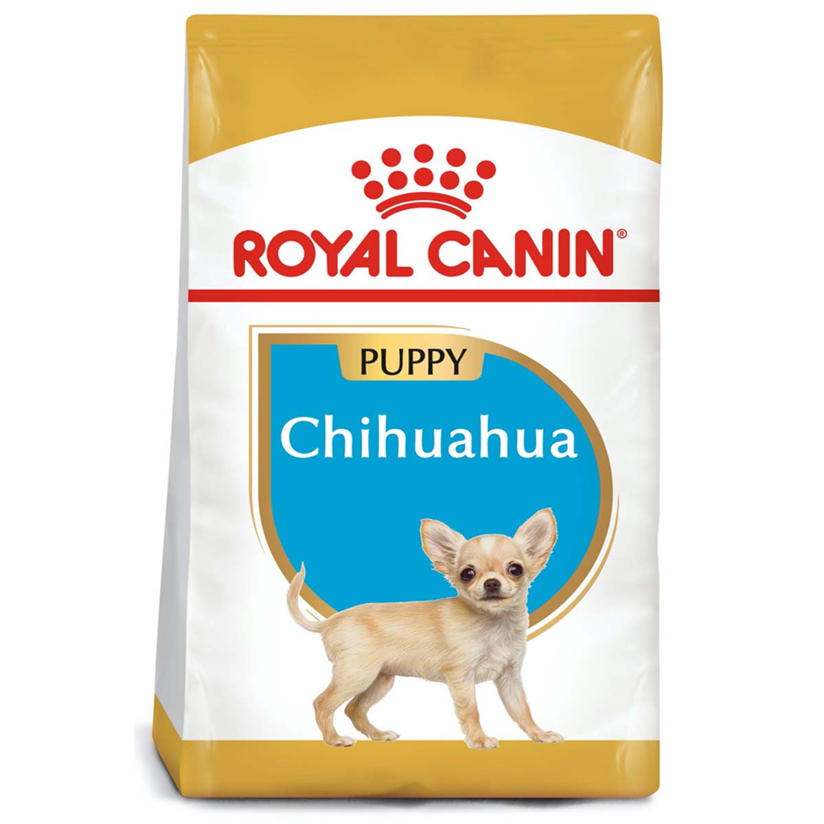 Chihuahua Puppy 1.3 Kg.
