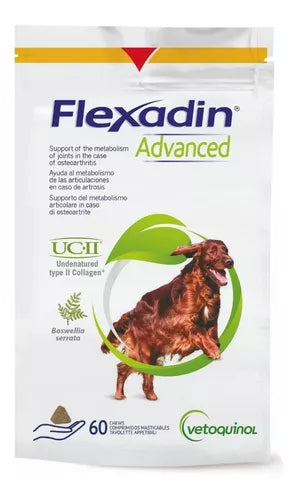 FLEXADIN ADVANCED C/60