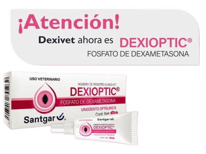 DEXIOPTIC (DEXIVET UNGÜENTO) 5g.