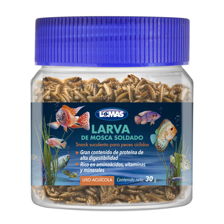 LARVA DE MOSCA SOLDADO 30GRS