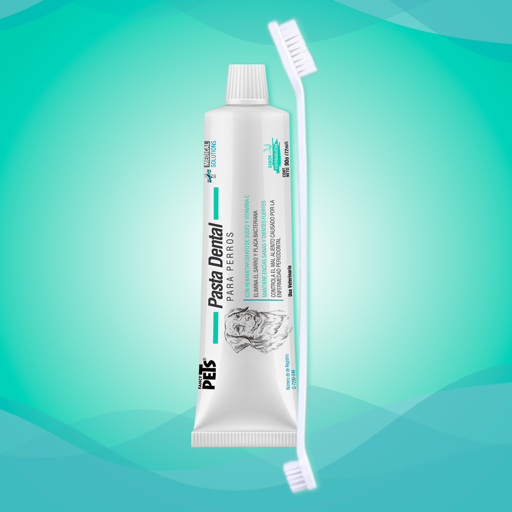 KIT DENTAL ANTISARRO – PASTA Y CEPILLO