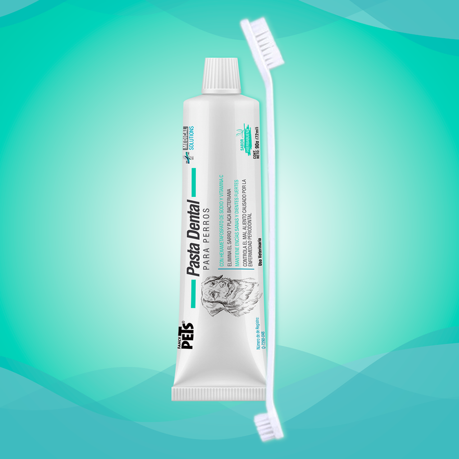 KIT DENTAL ANTISARRO – PASTA Y CEPILLO