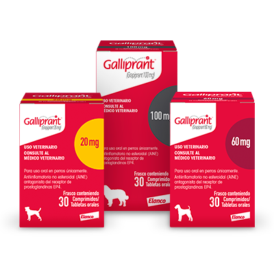 GALLIPRANT ELANCO