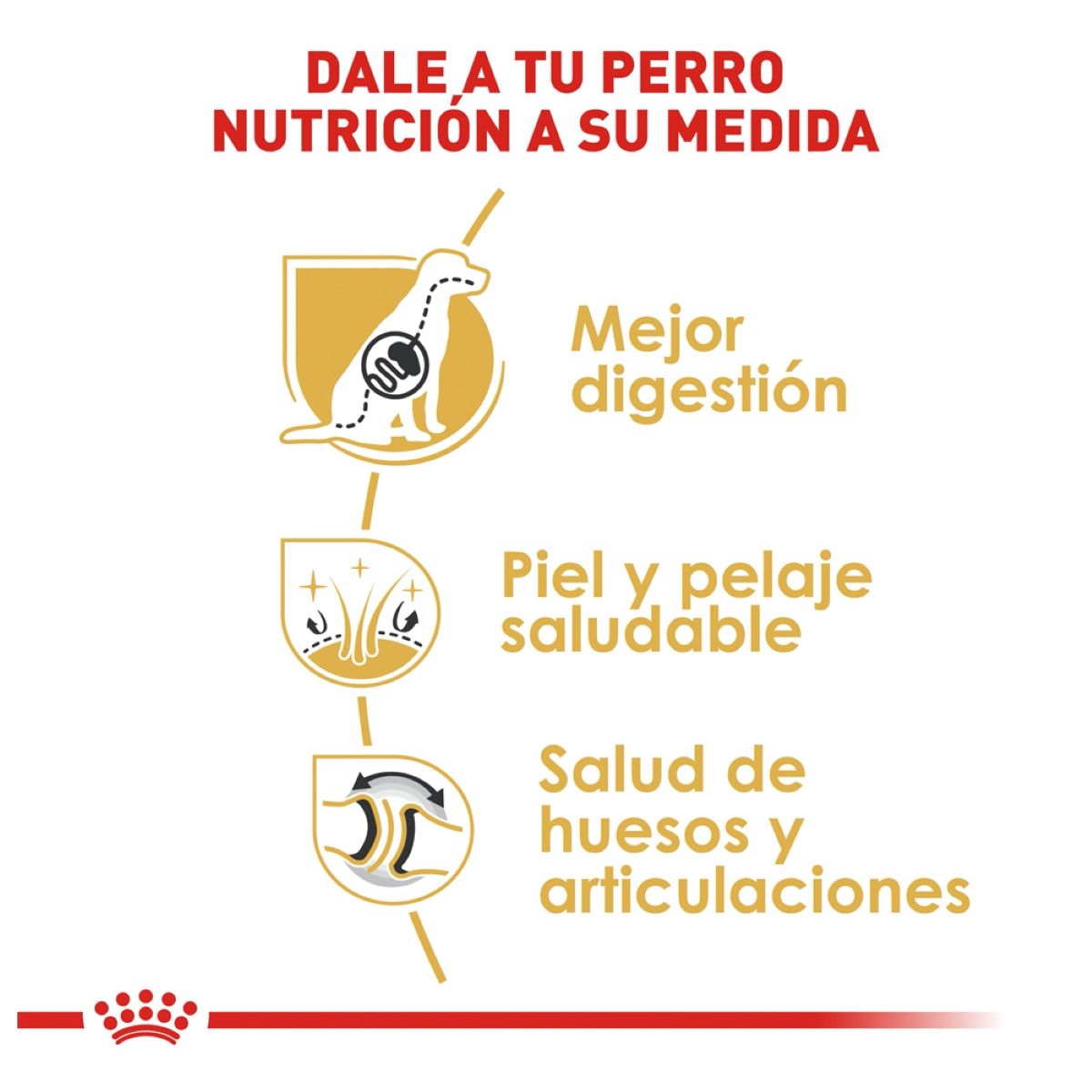 German Sheperd 13.6 Kg.