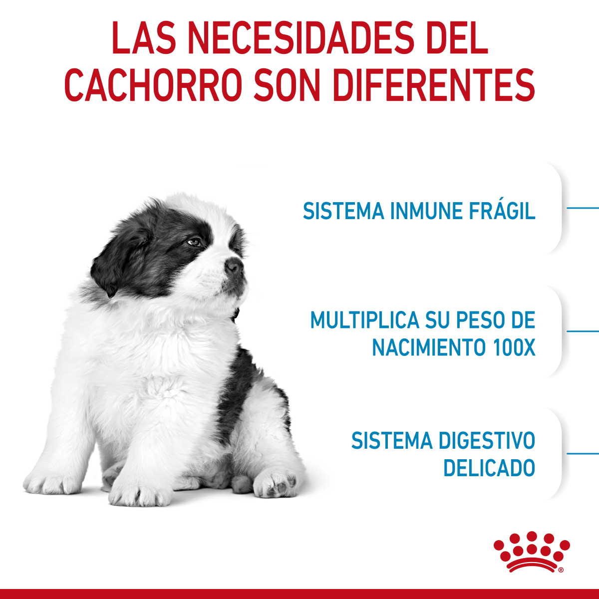 GIANT PUPPY 13.6 KG  Profesional