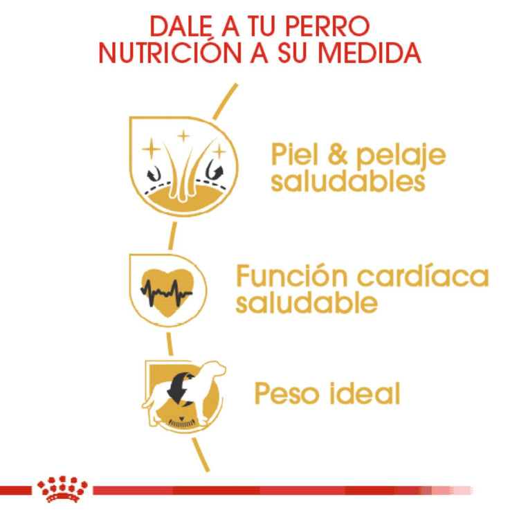 GOLDEN ADULTO 13.6KG Profesional