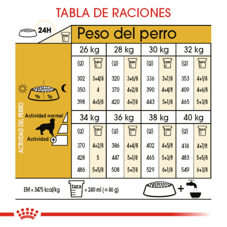 GOLDEN ADULTO 13.6KG