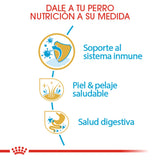 GOLDEN PUPPY 13.6KG Profesional