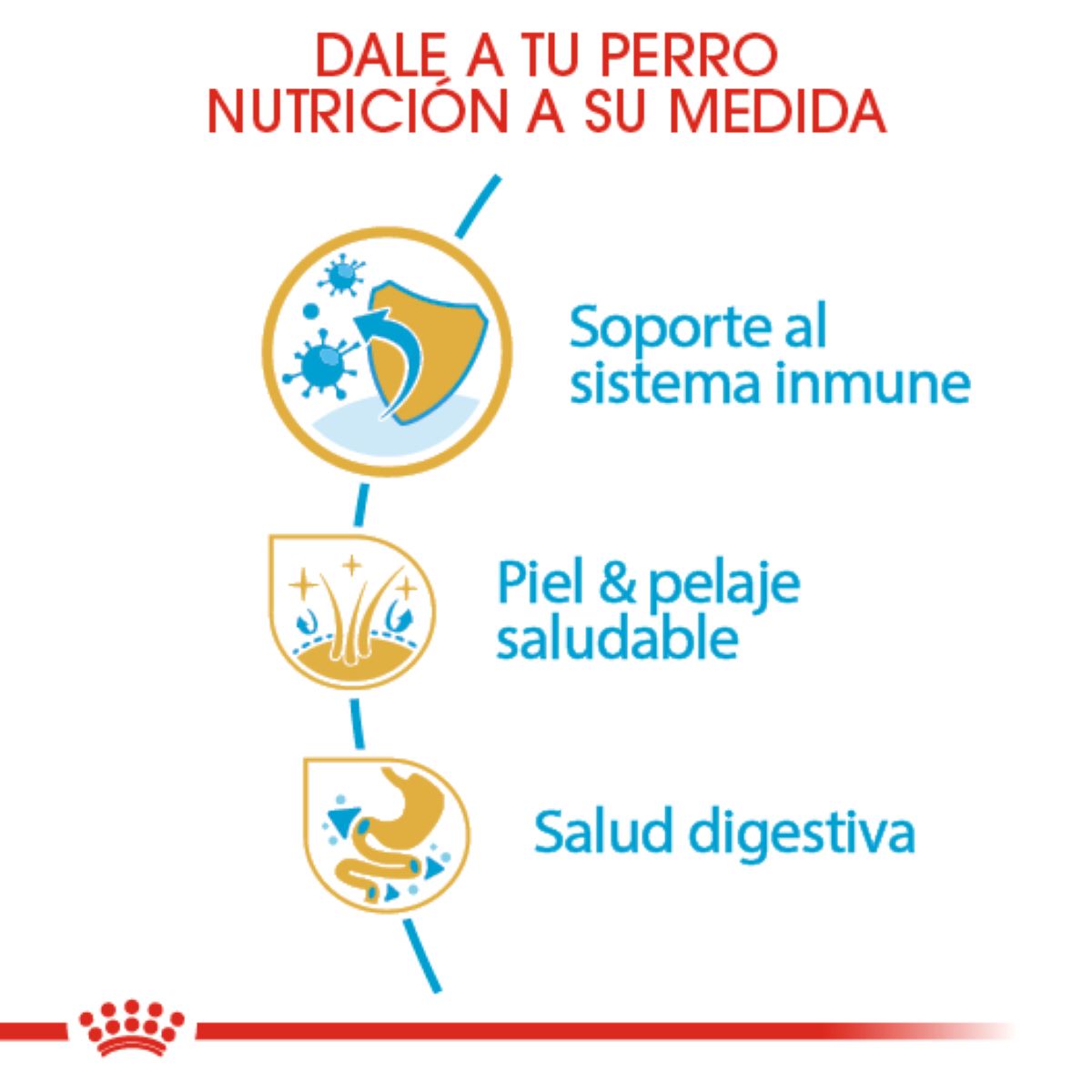 GOLDEN PUPPY 13.6KG Profesional