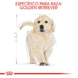 GOLDEN PUPPY 13.6KG Profesional