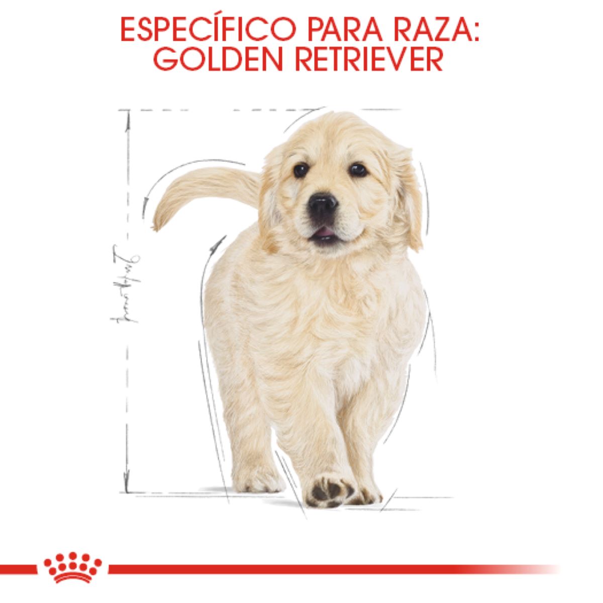 GOLDEN PUPPY 13.6KG Profesional