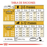 GOLDEN PUPPY 13.6KG Profesional