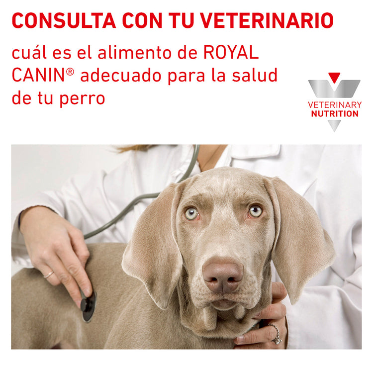 Hydrolyzed Protein Adult Canine Royal Canin PROFESIONAL