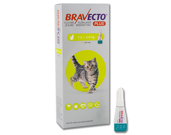 BRAVECTO PLUS GATO 1.2 A 2.8 KG