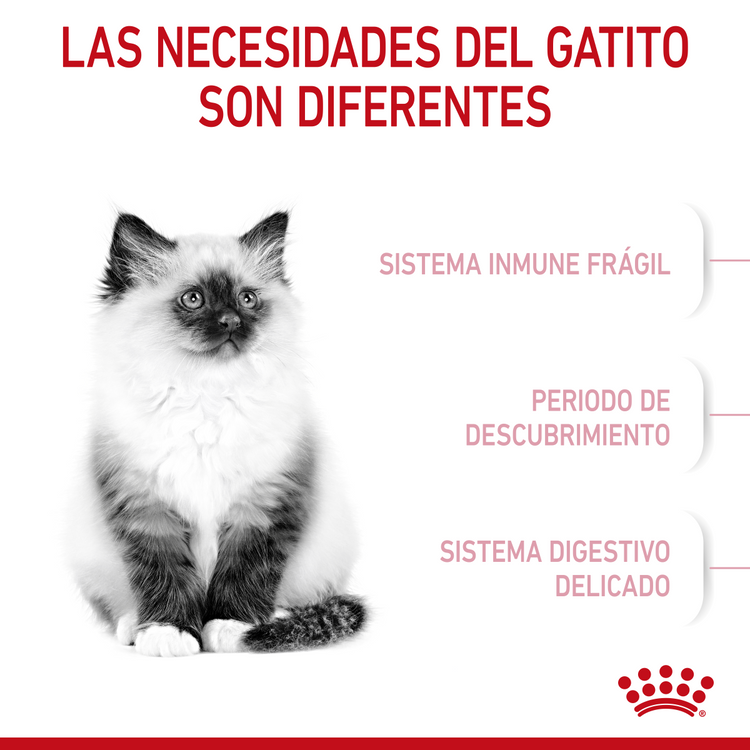 Royal Canin Kitten Profesional