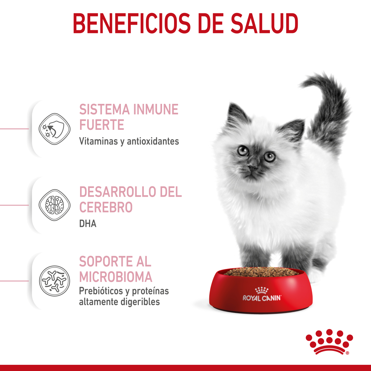 Royal Canin Kitten Profesional