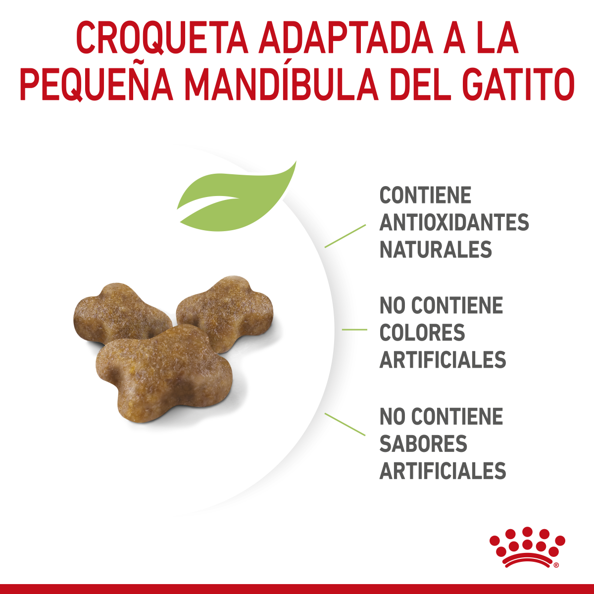 Royal Canin Kitten Profesional