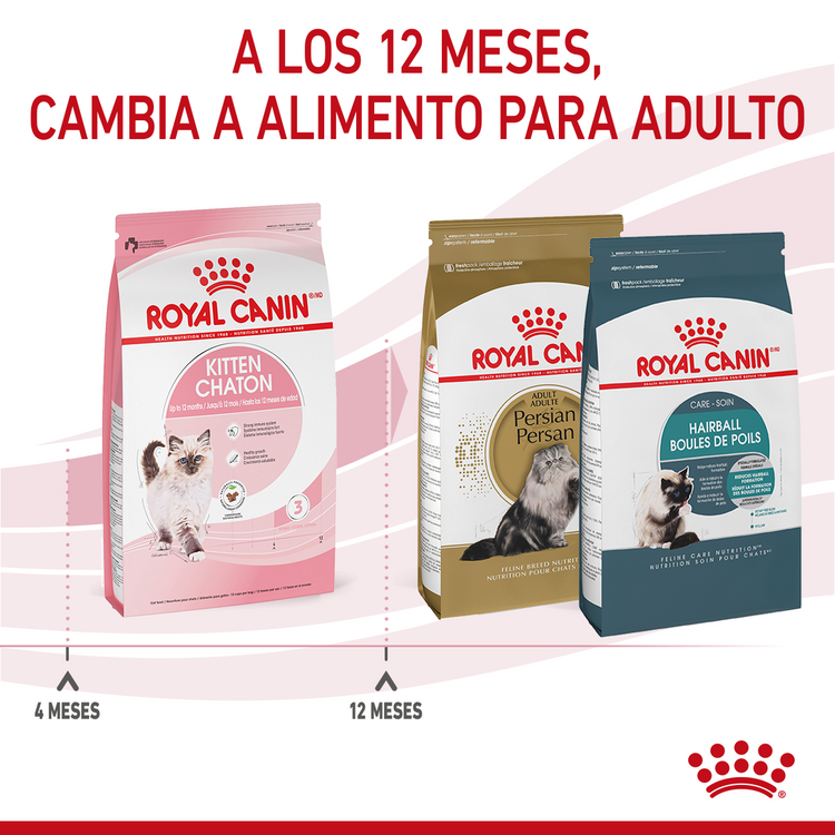 Royal Canin Kitten