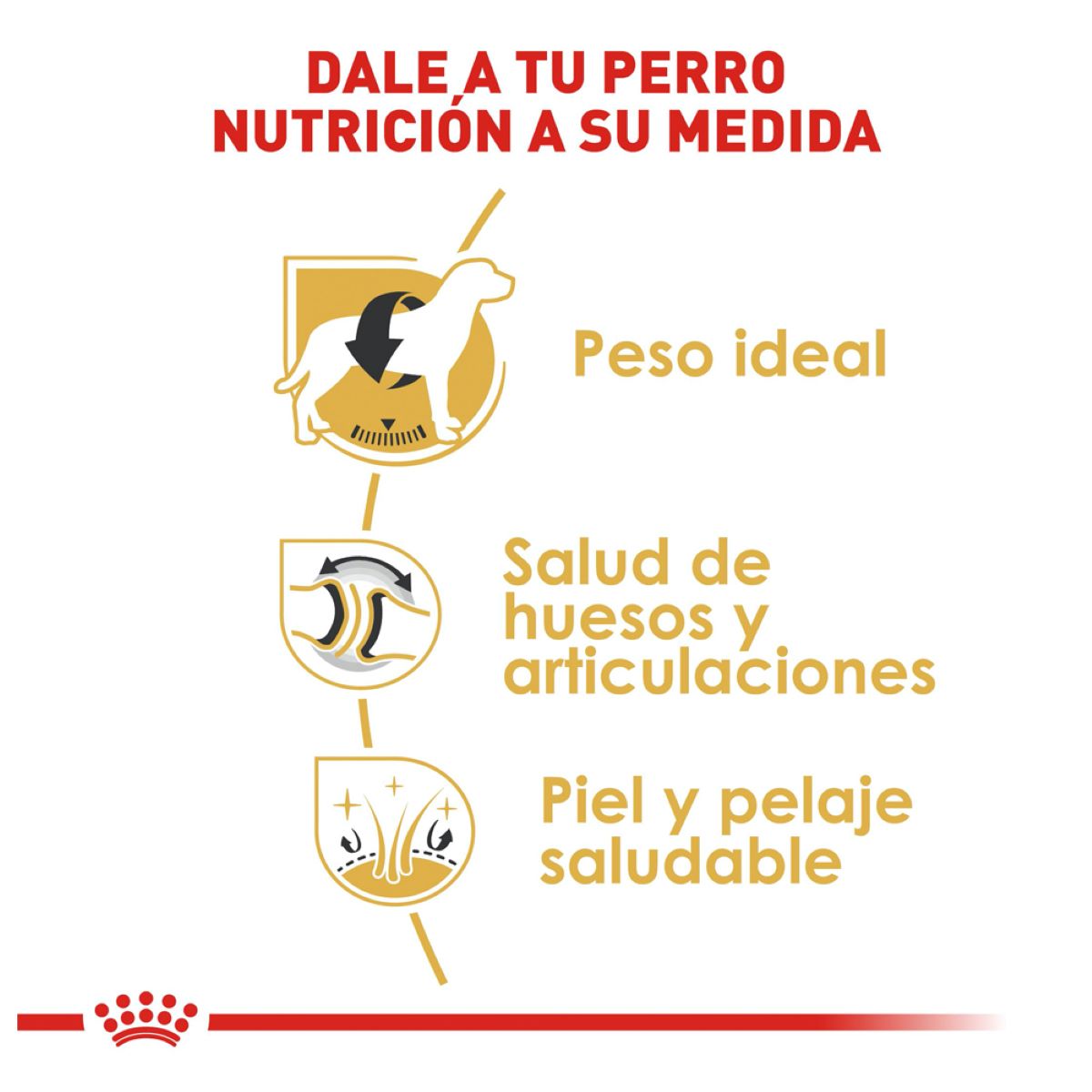 LABRADOR RETRIEVER 13.6KG Profesional