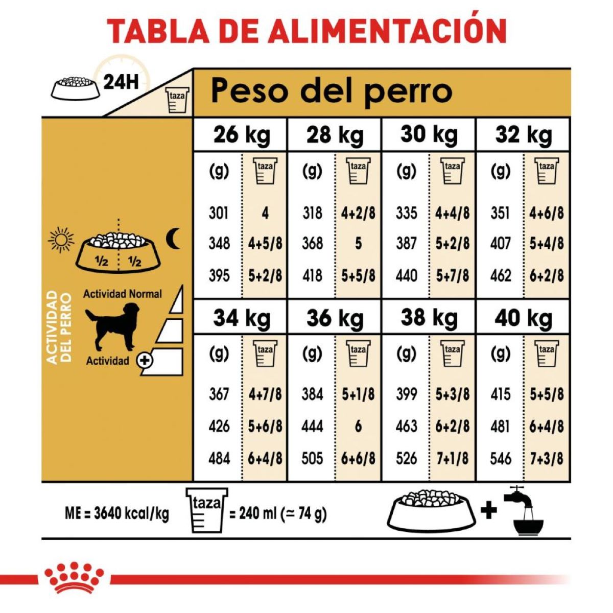 LABRADOR RETRIEVER 13.6KG Profesional