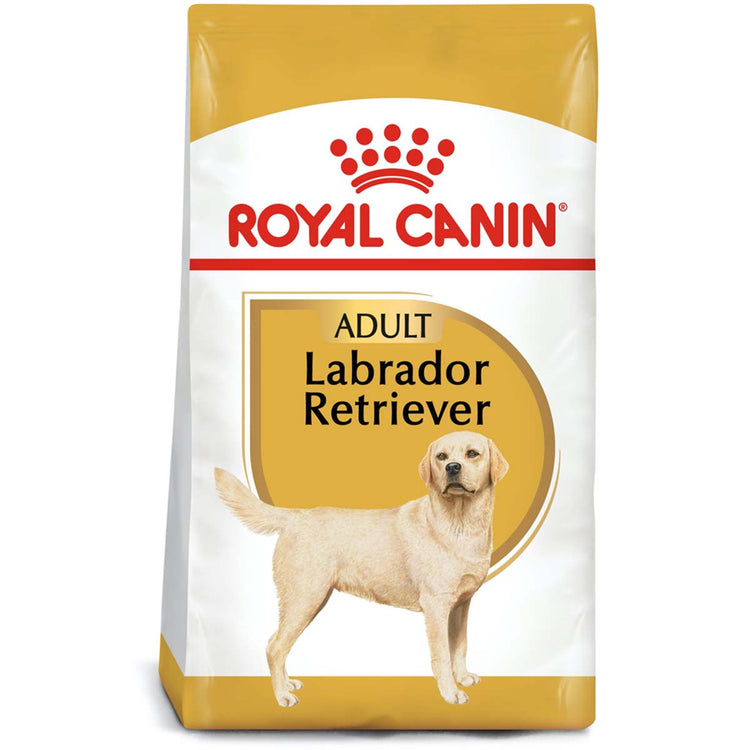 LABRADOR RETRIEVER 13.6KG Profesional