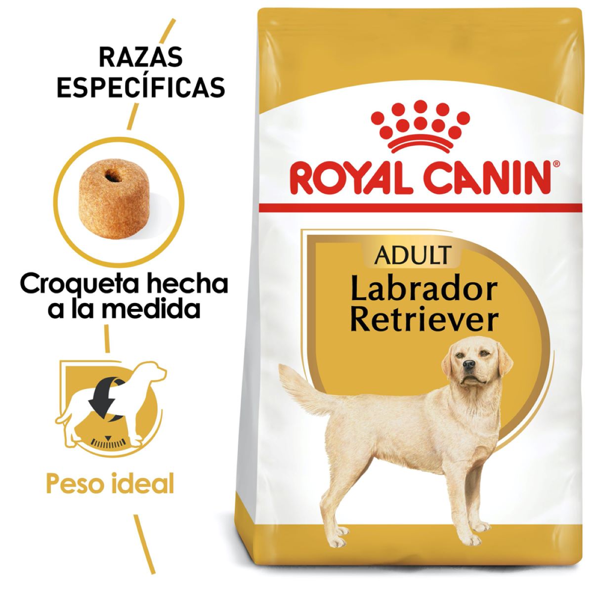 LABRADOR RETRIEVER 13.6KG Profesional