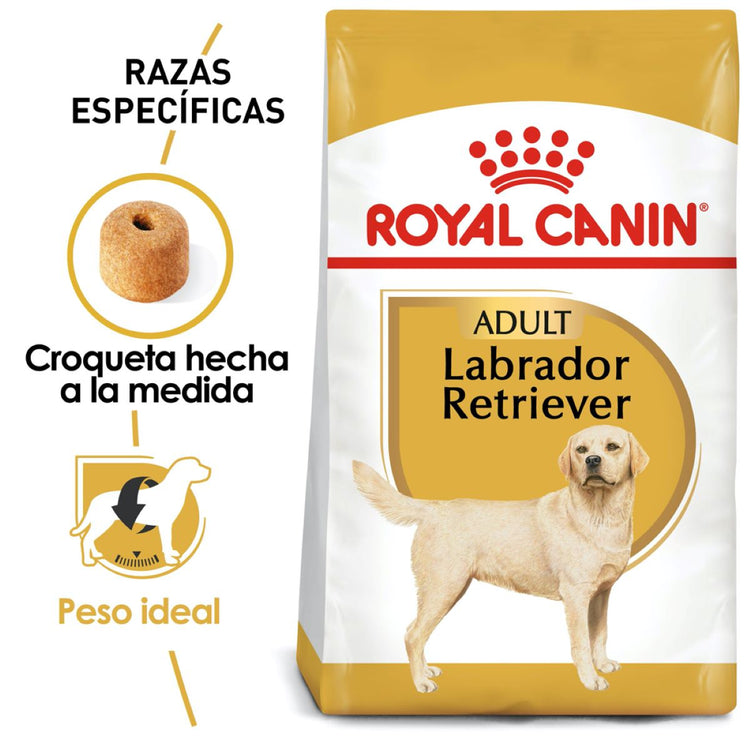 LABRADOR RETRIEVER 13.6KG Profesional