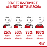 Maxi Puppy Professional