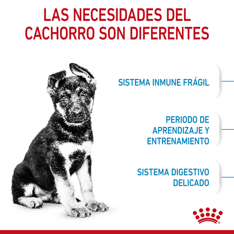 Maxi Puppy Professional