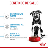 Maxi Puppy Professional