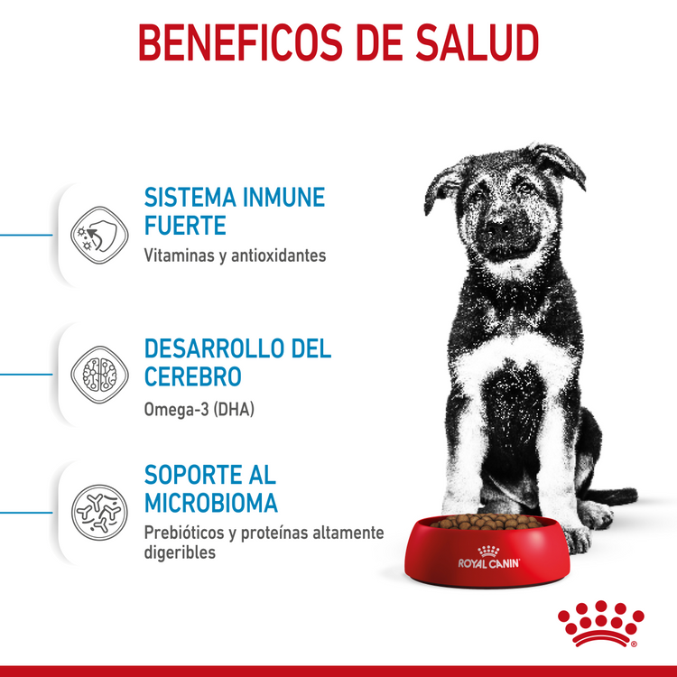 Maxi Puppy Professional