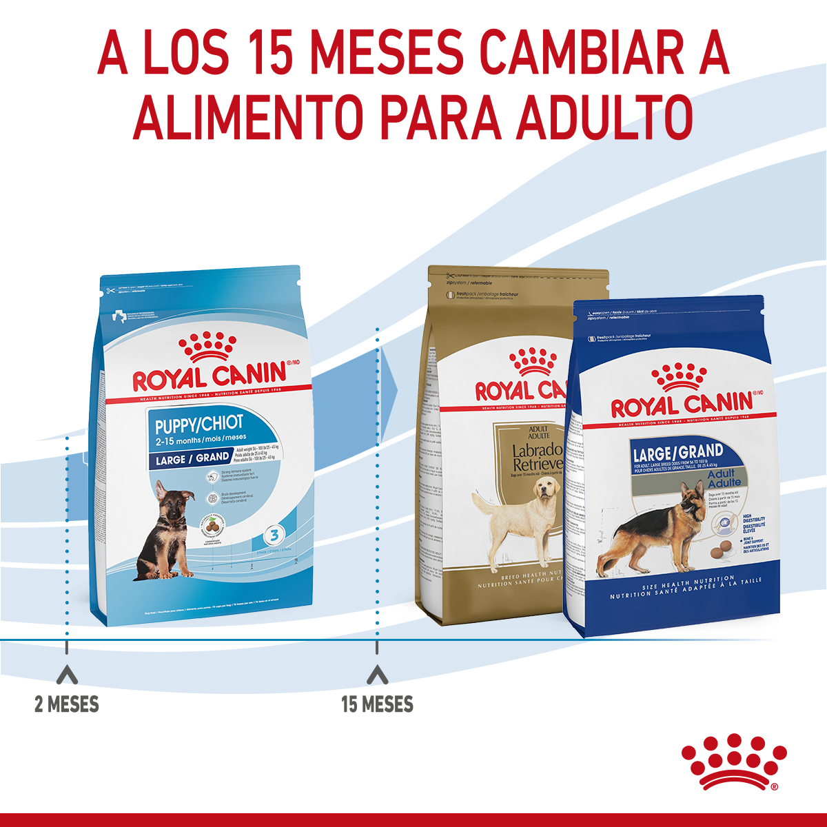 Maxi Puppy Professional