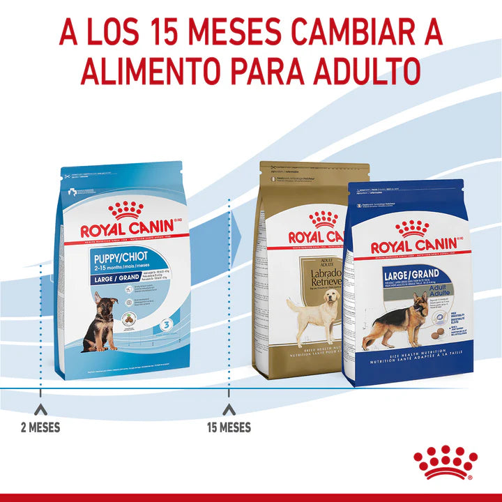 MAXI PUPPY ROYAL CANIN