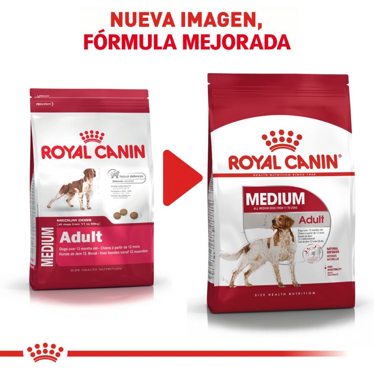 Medium Adulto Royal Canin