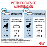 Medium Puppy Royal Canin Profesional