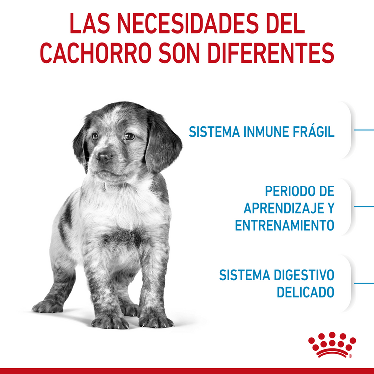 Medium Puppy Royal Canin Profesional