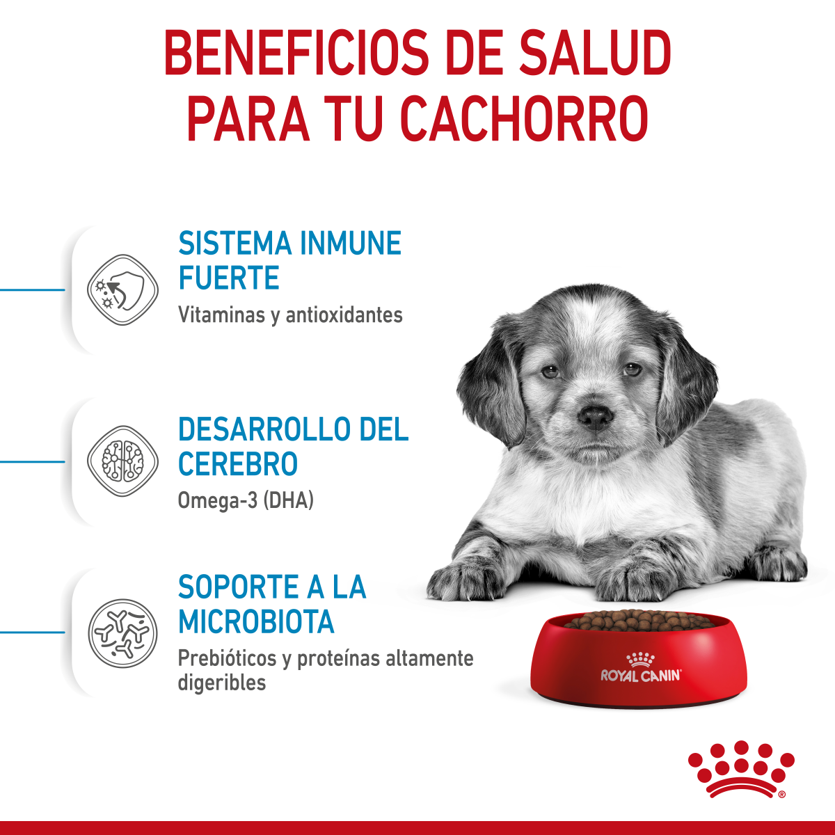 Medium Puppy Royal Canin Profesional