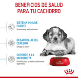 Medium Puppy Royal Canin Profesional
