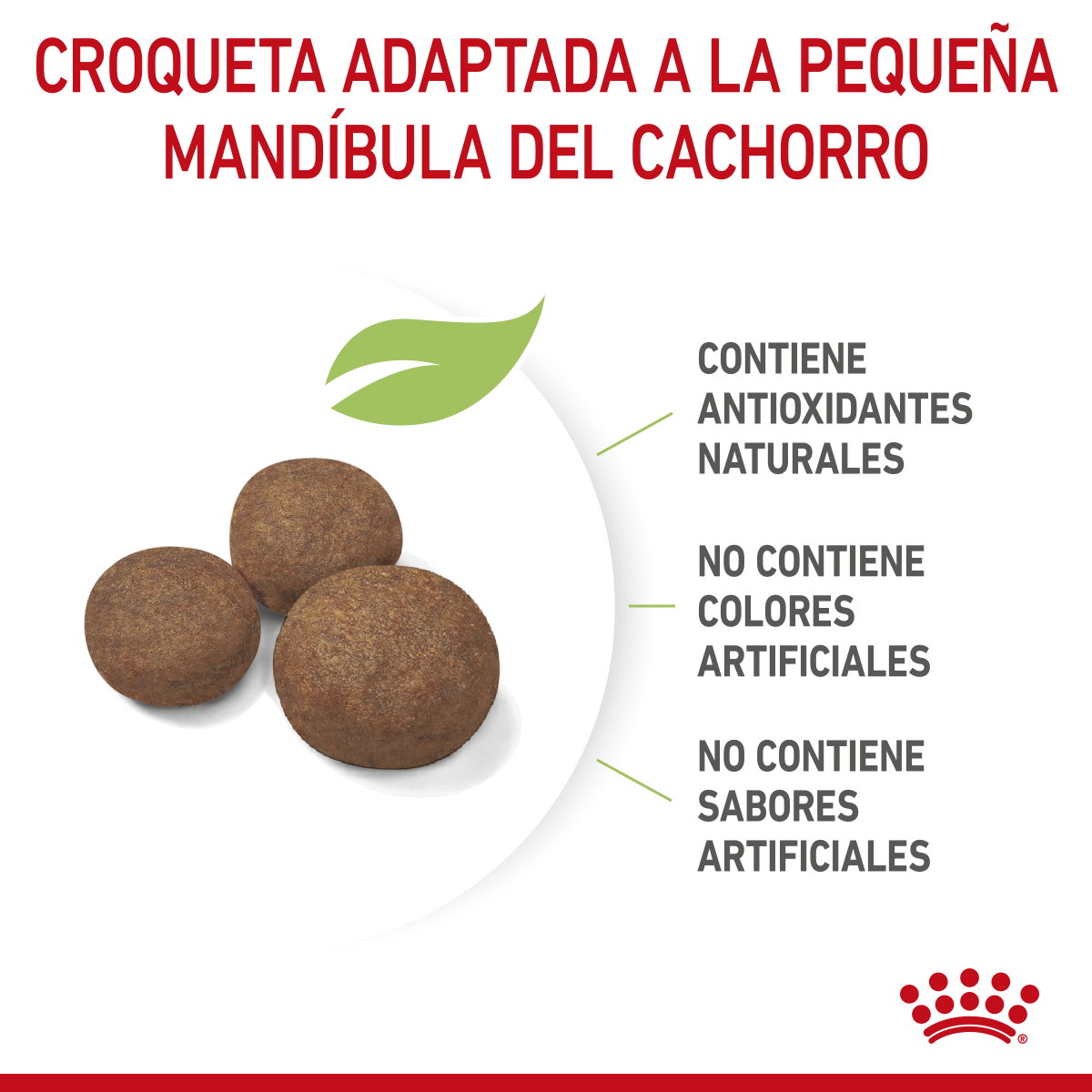 Medium Puppy Royal Canin Profesional