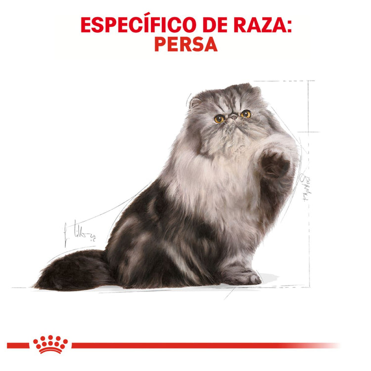 Gatos Persian Royal Canin 3.17 kg Profesional