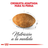 Gatos Persian Royal Canin 3.17 kg Profesional